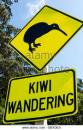 Kiwi wandering sign